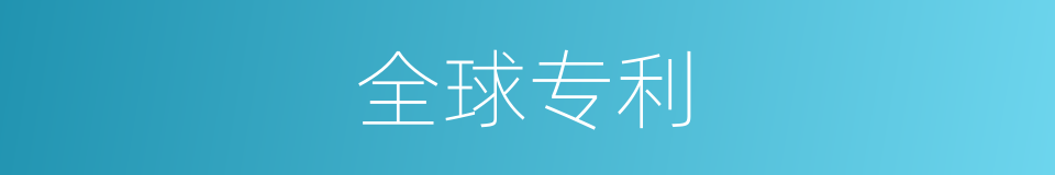 全球专利的同义词