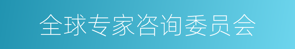 全球专家咨询委员会的同义词