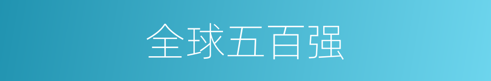 全球五百强的同义词