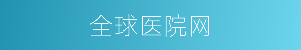 全球医院网的同义词