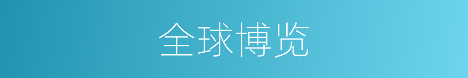 全球博览的同义词