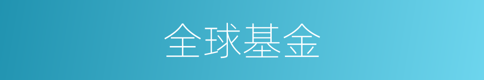 全球基金的同义词