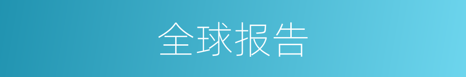 全球报告的同义词