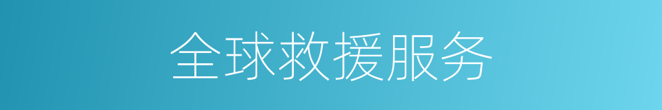全球救援服务的同义词