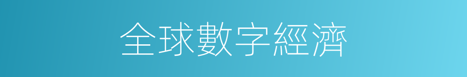全球數字經濟的同義詞
