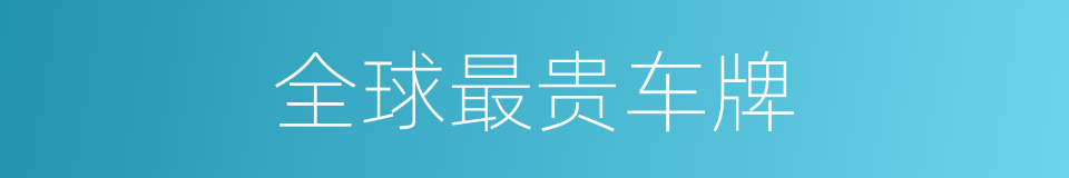 全球最贵车牌的同义词