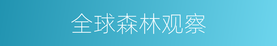 全球森林观察的同义词