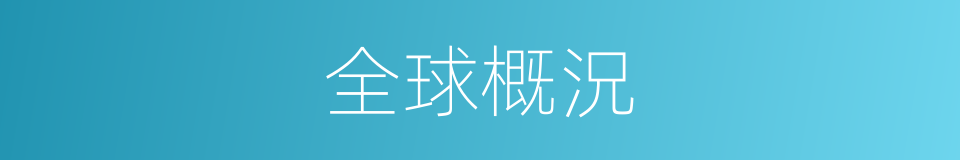 全球概況的同義詞
