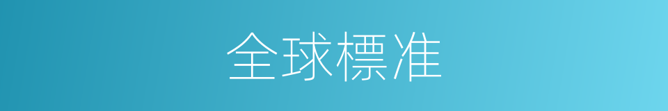 全球標准的同義詞