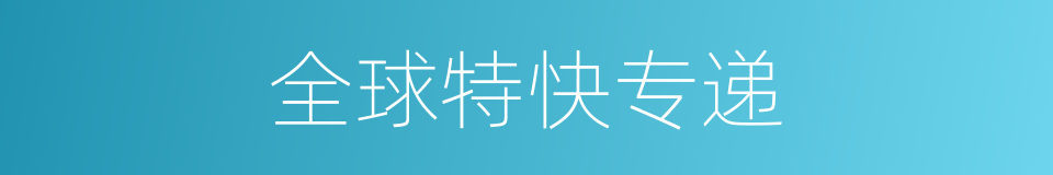 全球特快专递的同义词
