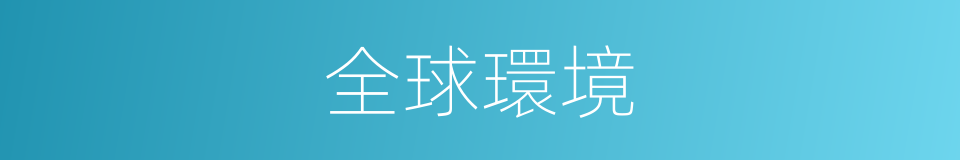 全球環境的同義詞