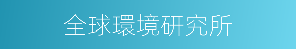 全球環境研究所的同義詞