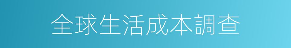 全球生活成本調查的同義詞
