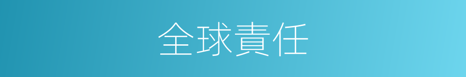 全球責任的同義詞