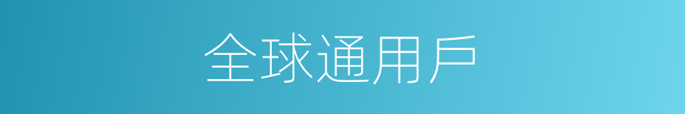 全球通用戶的同義詞