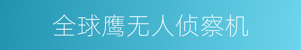 全球鹰无人侦察机的同义词