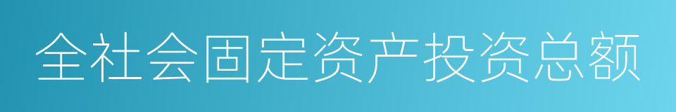 全社会固定资产投资总额的同义词