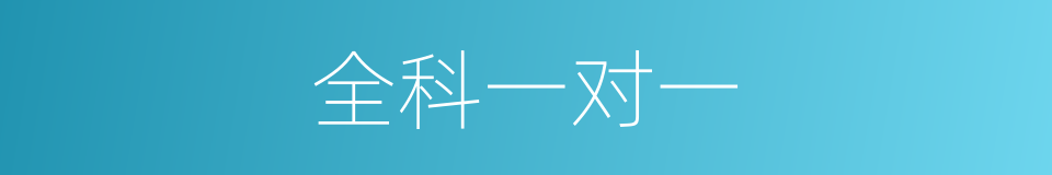 全科一对一的同义词