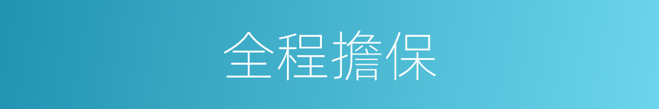 全程擔保的同義詞