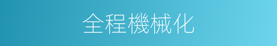 全程機械化的同義詞