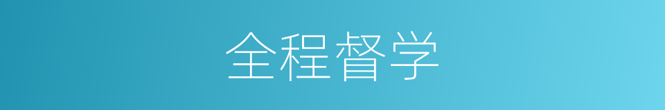 全程督学的同义词