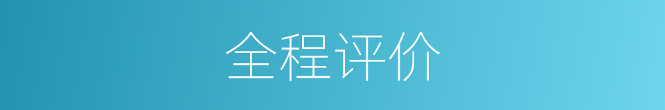 全程评价的同义词
