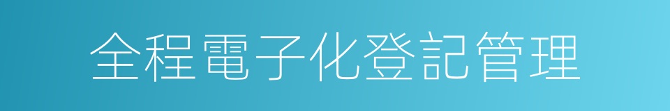 全程電子化登記管理的同義詞