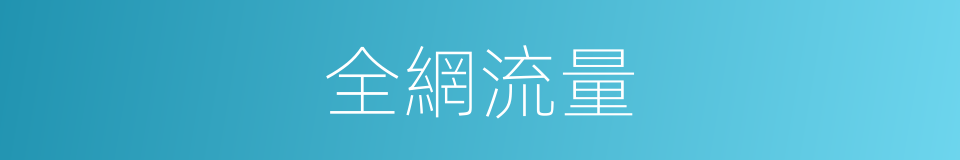 全網流量的同義詞