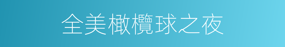 全美橄欖球之夜的同義詞