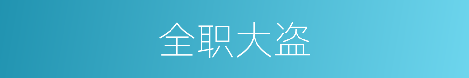 全职大盗的同义词