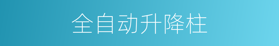 全自动升降柱的同义词