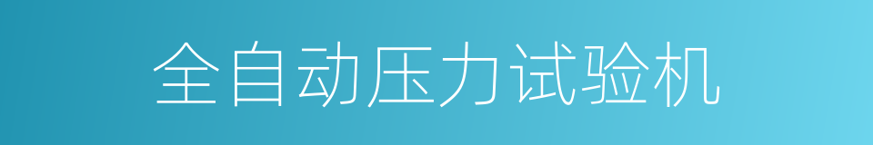 全自动压力试验机的同义词