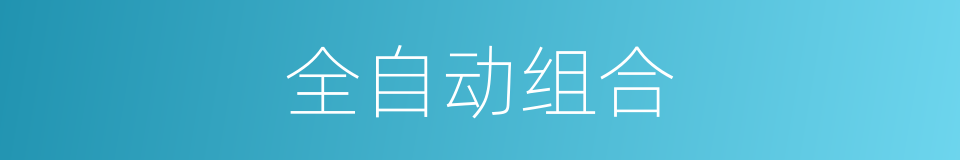 全自动组合的同义词