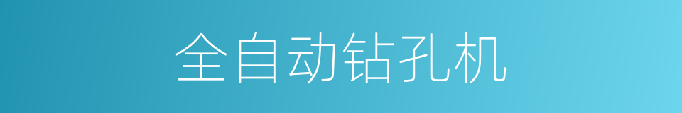 全自动钻孔机的同义词