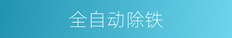 全自动除铁的同义词