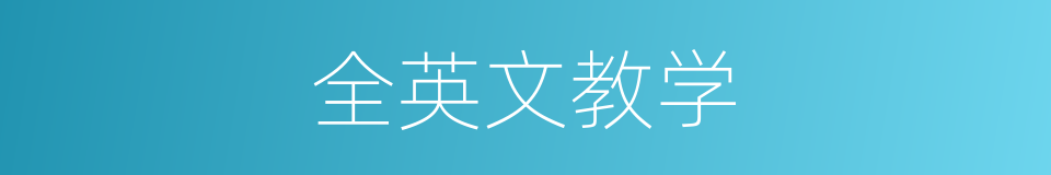 全英文教学的同义词