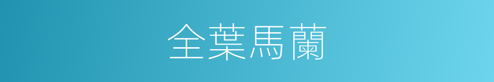 全葉馬蘭的同義詞