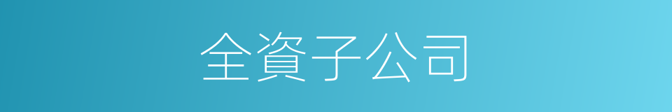 全資子公司的意思