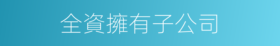 全資擁有子公司的同義詞