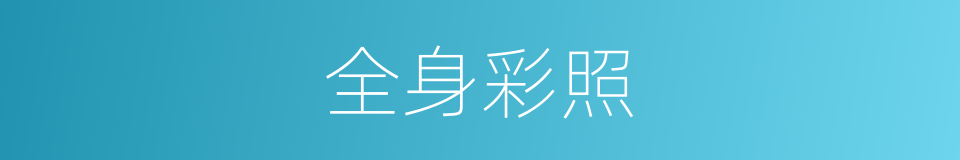 全身彩照的同义词