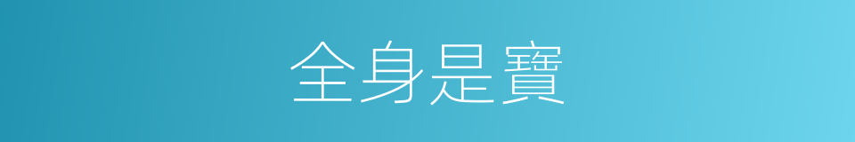 全身是寶的同義詞
