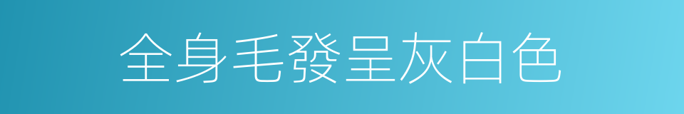 全身毛發呈灰白色的同義詞