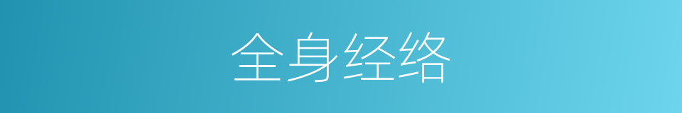 全身经络的同义词