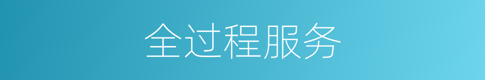 全过程服务的同义词
