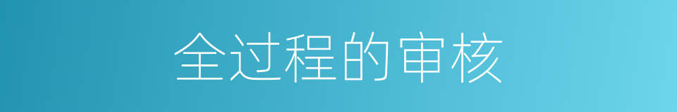 全过程的审核的同义词
