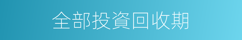 全部投資回收期的同義詞