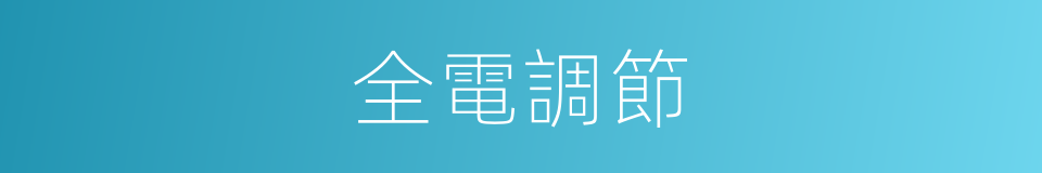 全電調節的同義詞