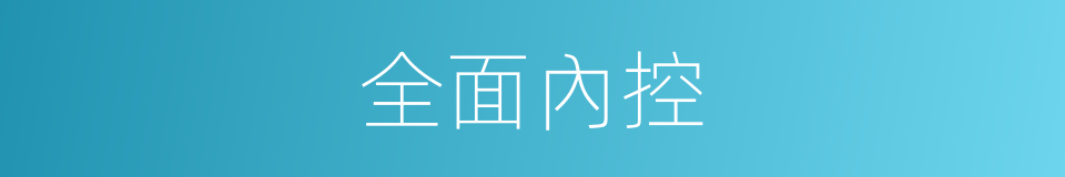 全面內控的同義詞