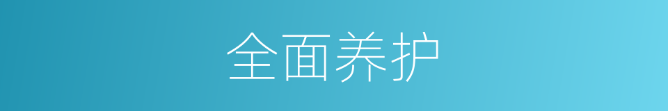 全面养护的同义词