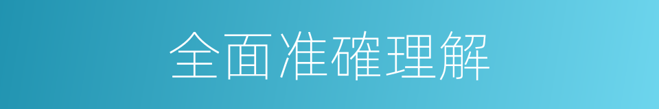 全面准確理解的同義詞